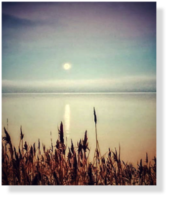 (119) Abendsonne 45 x 38 cm 2023  nach Bild, Achim Rück